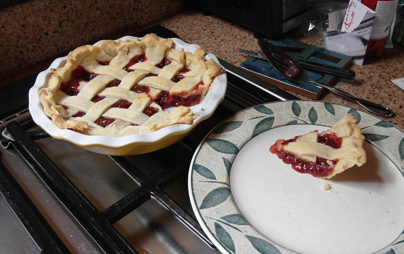 July 03, 2011 - Gooseberry/Strawberry Pie. Tart, but perfect with icecream.
