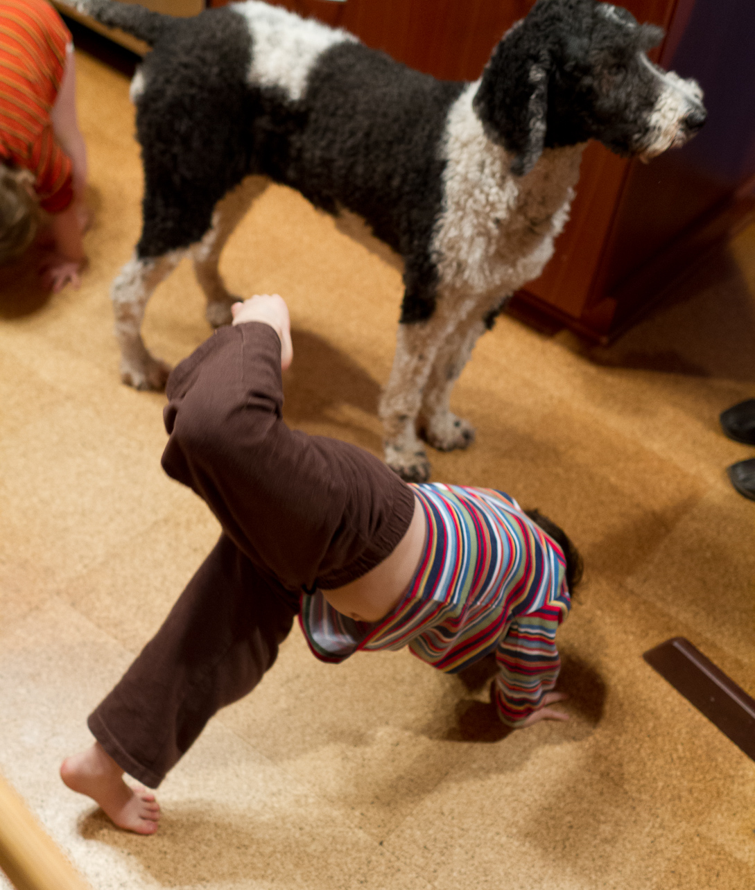 February 28, 2012 - Exotic forms of stretching...