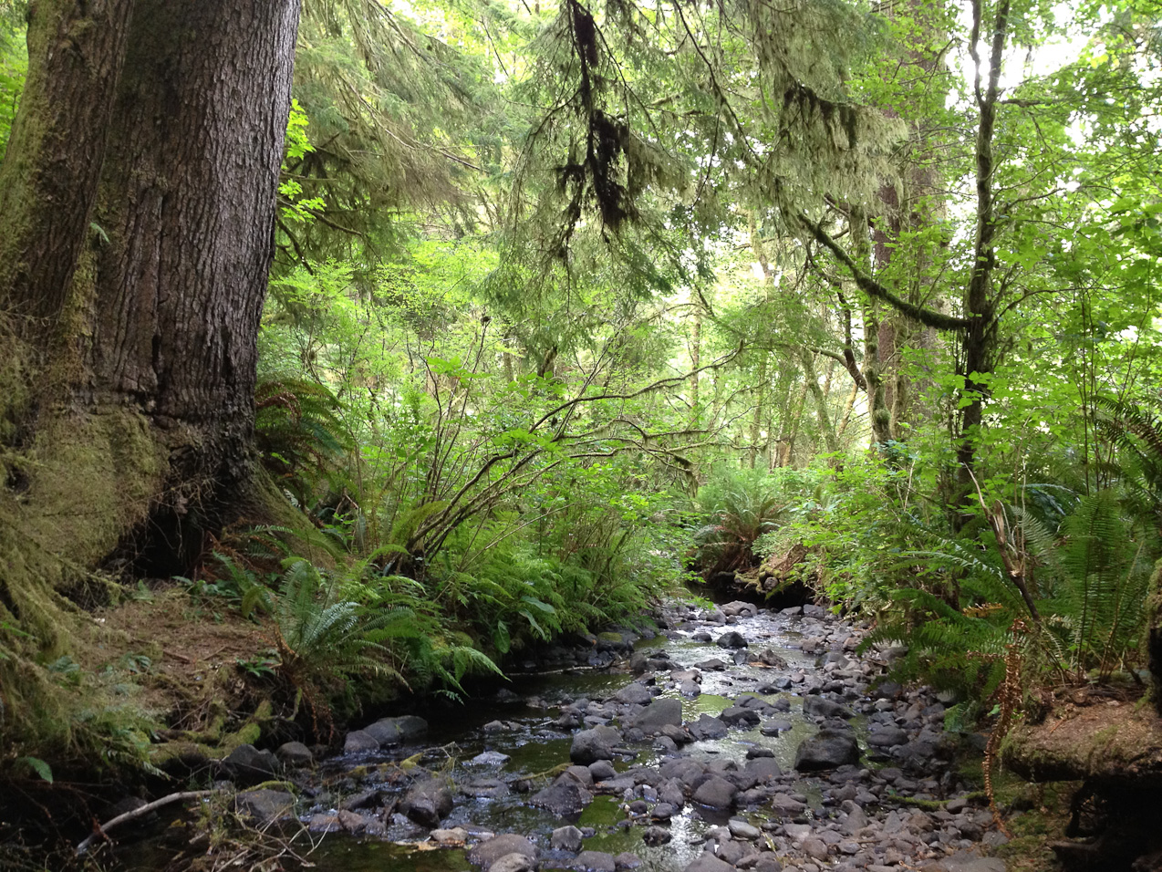  August 25, 2012 - The creek that runs next to the campgrounds.