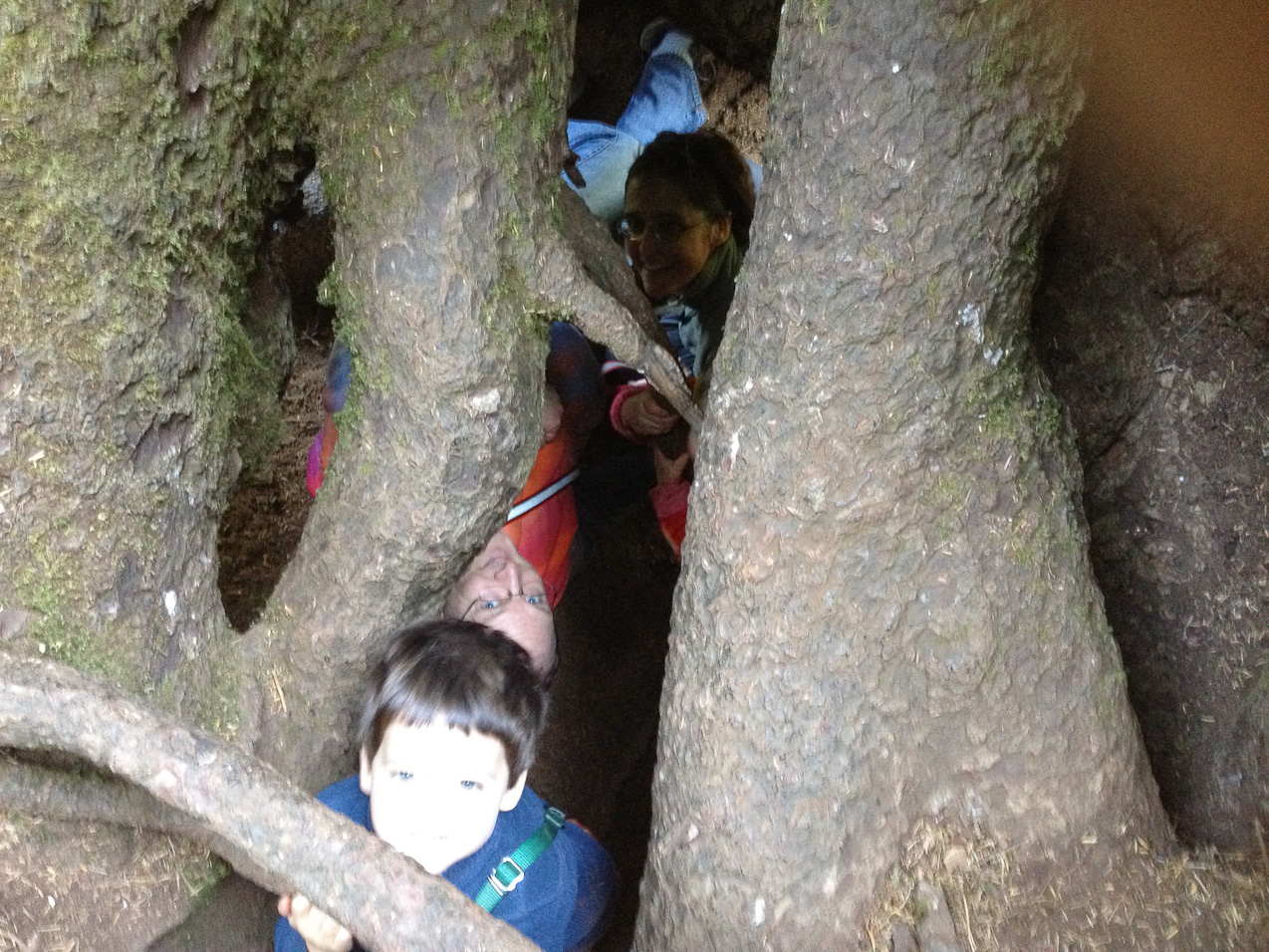  August 25, 2012 - All of us looking up through the roots/root-hollow of the campground's 500yr-old Spruce.