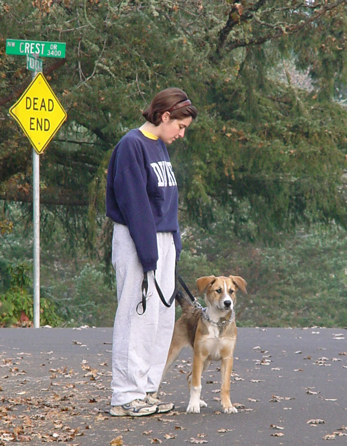 November 19, 2000
