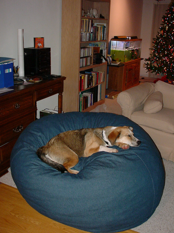December 09, 2000