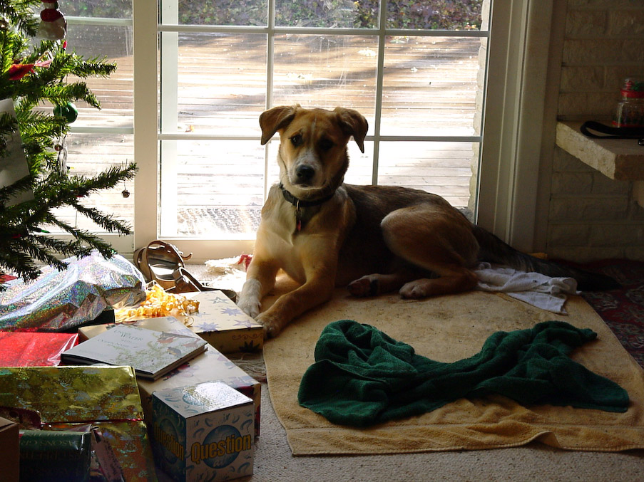 December 24, 2000