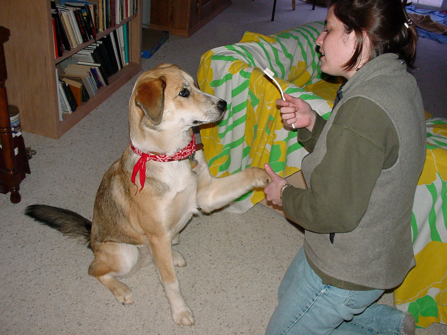 March 20, 2001