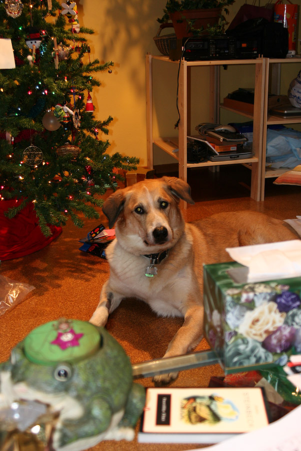 December 25, 2006