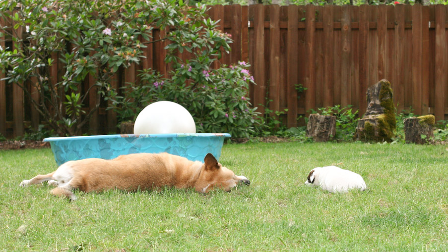 June 05, 2007