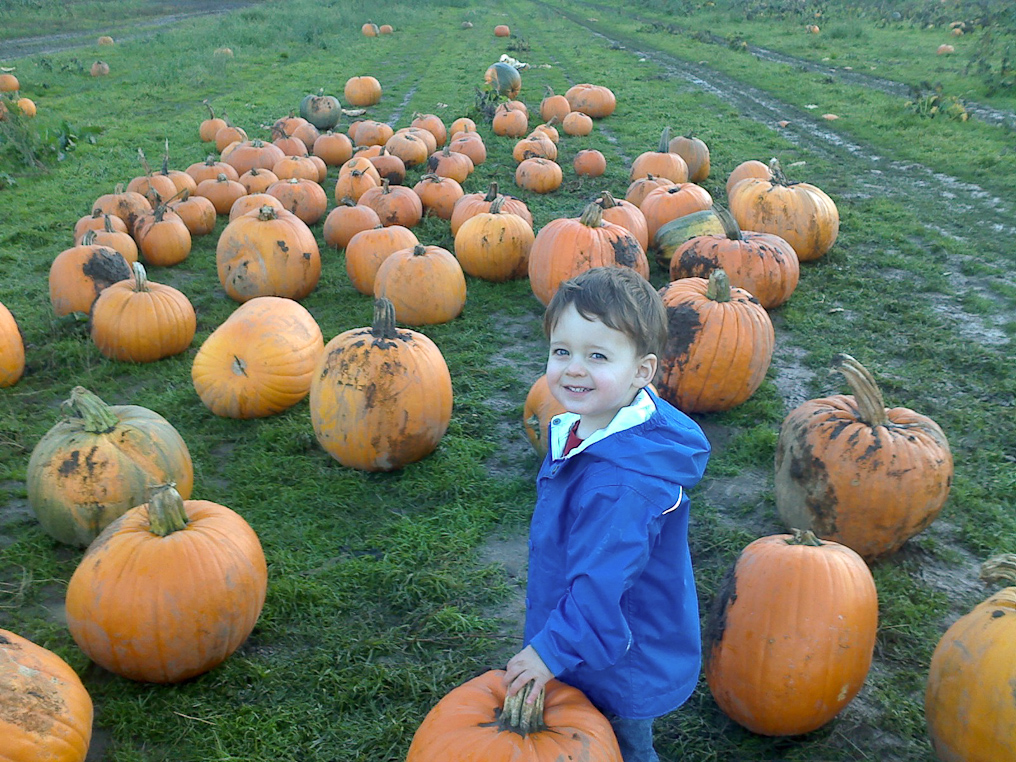 October 26, 2010 - Pumpkin patch