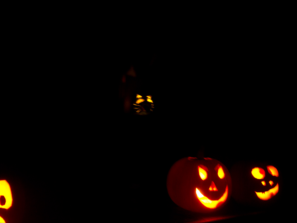 October 30, 2010 - 