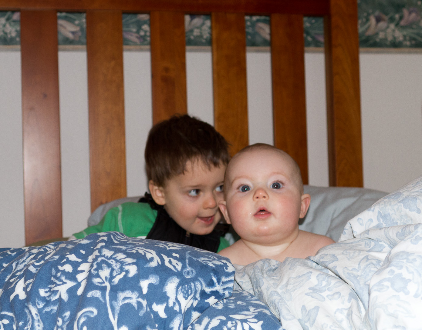 January 11, 2011 - 