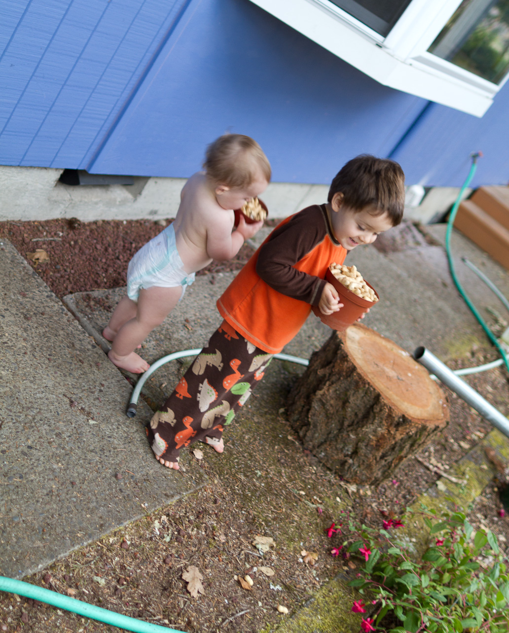 September 16, 2011 - Feeding the squirrels and jays