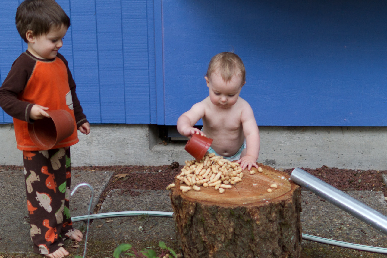 September 16, 2011 - Feeding the squirrels and jays