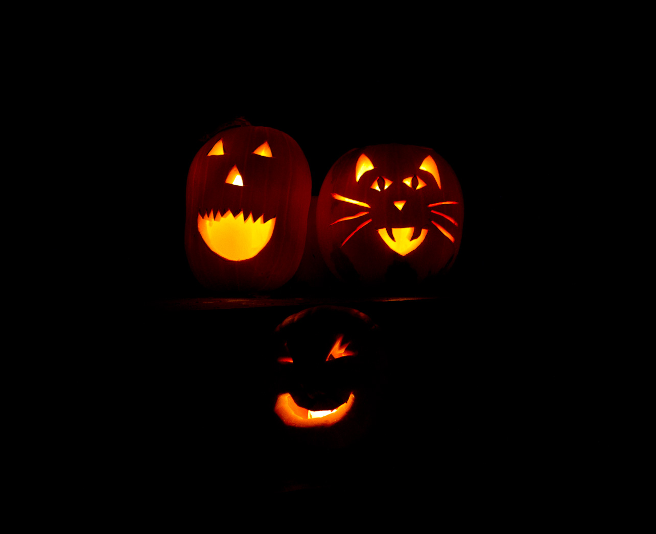October 31, 2011 - 