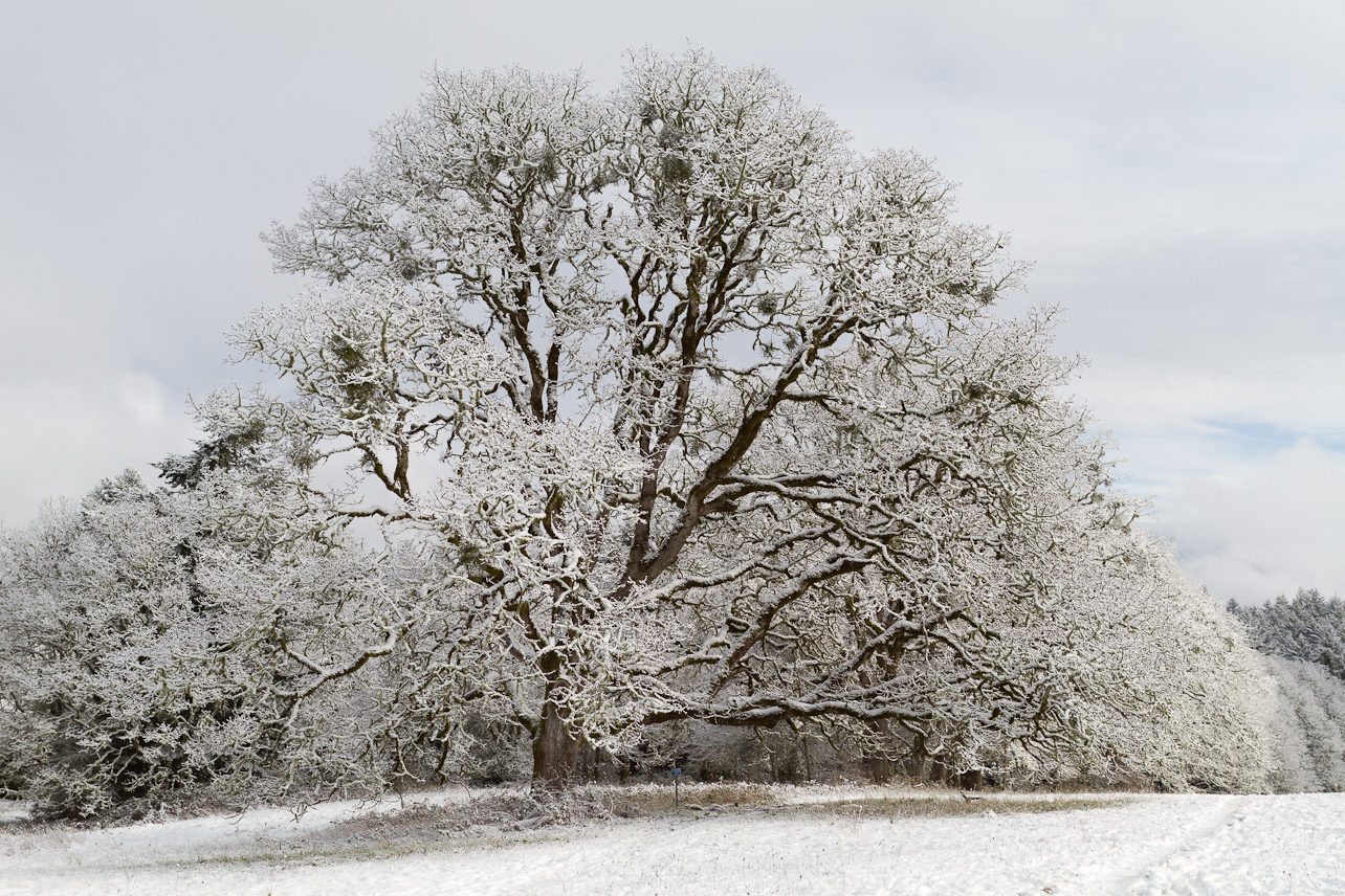 January 16, 2012 - 