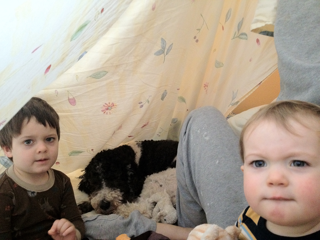 January 28, 2012 - Tents are popular