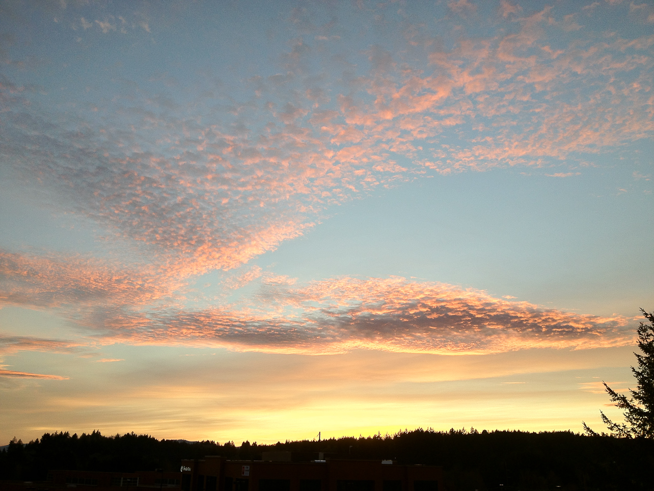 January 03, 2012 - 
