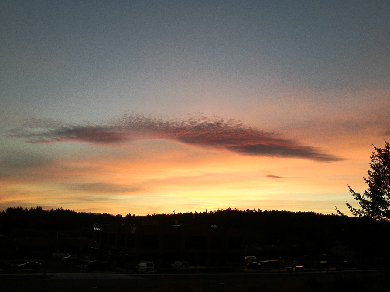 January 03, 2012 - 