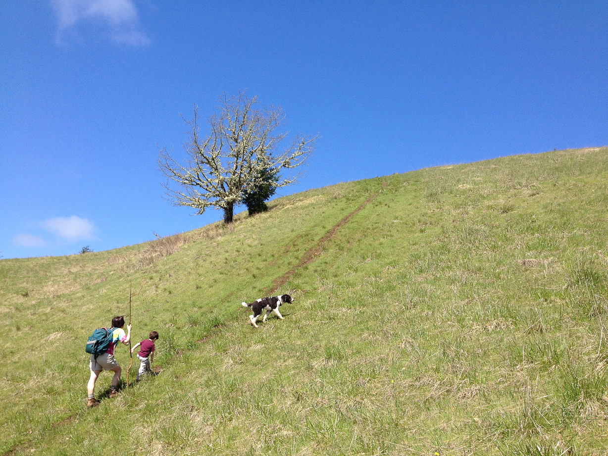  April 21, 2012 - A hike up to Dimple Hill, just north-north-west of Corvallis
