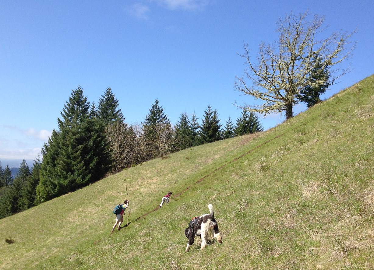  April 21, 2012 - A hike up to Dimple Hill, just north-north-west of Corvallis