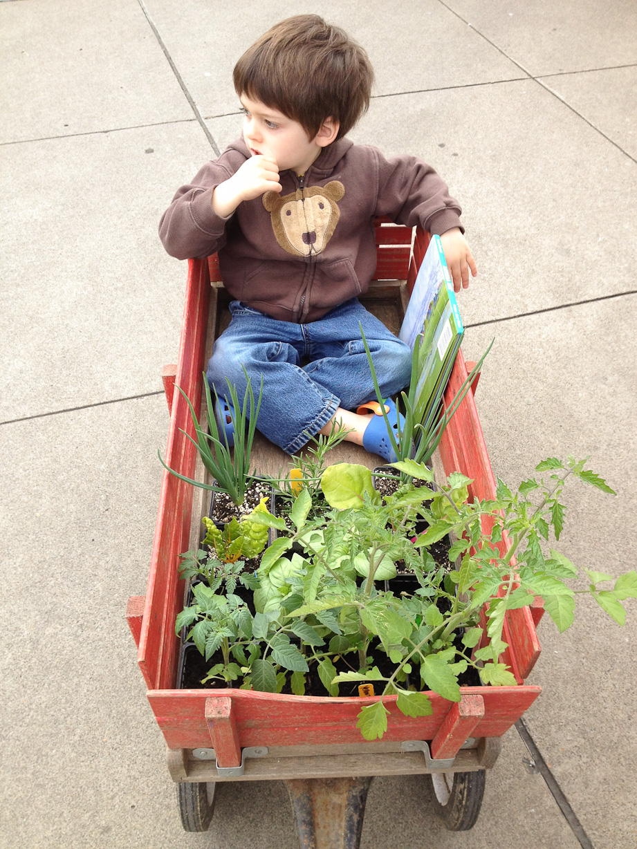  May 19, 2012 - Shopping for the garden-starts at the Saturday Farmer's Market