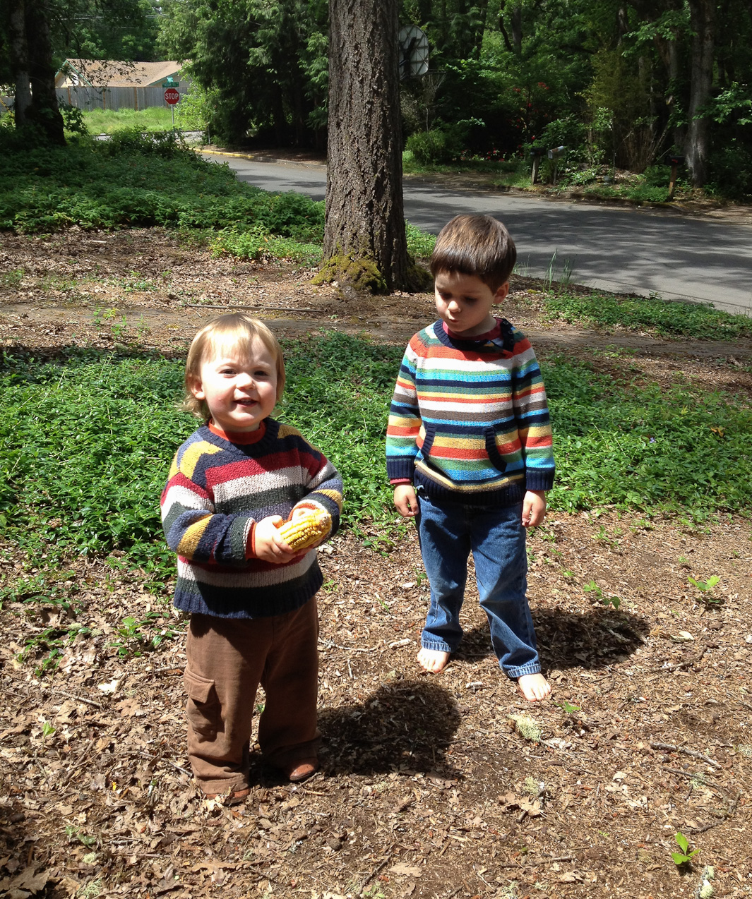  June 02, 2012 - The squirrels love the corn. So do turkeys.