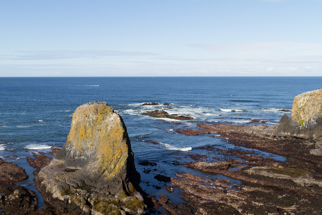  June 06, 2012 - Very low tides means good fun exploring tide-pools