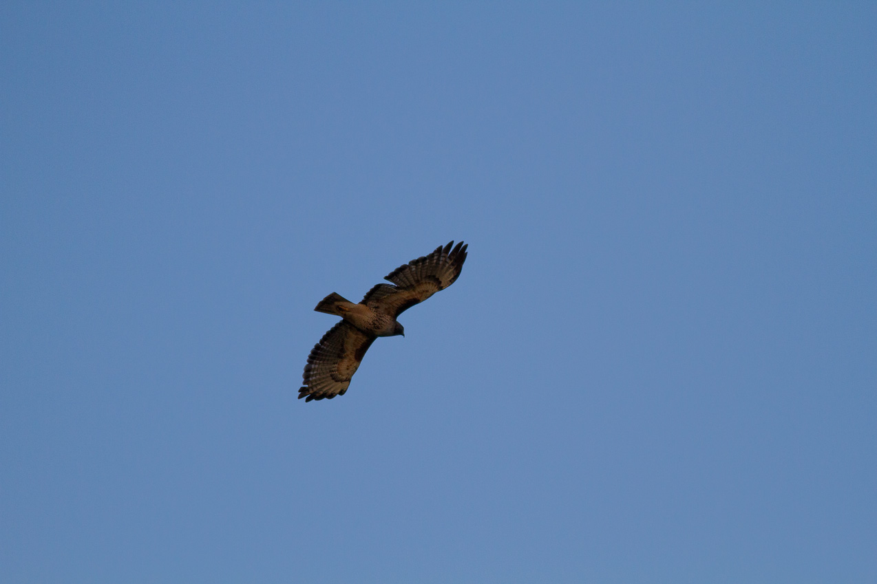  June 07, 2012 - 