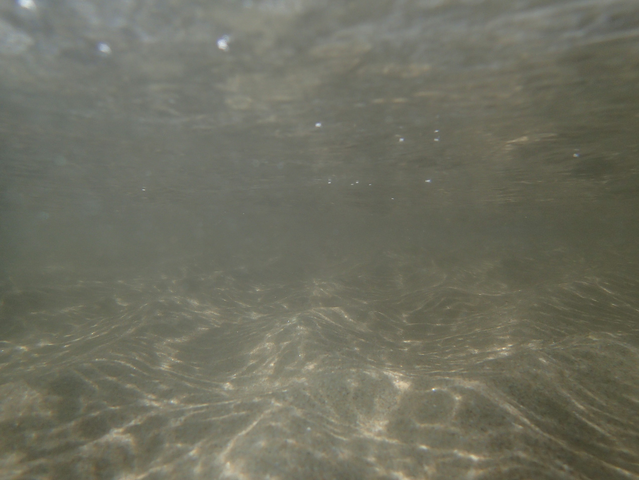  September 02, 2012 - …camera goes underwater (intentially)