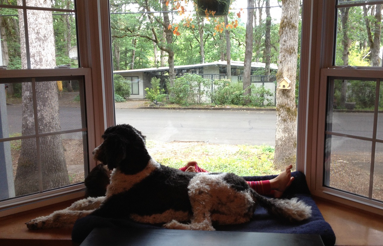  June 30, 2012 - Boy with dog