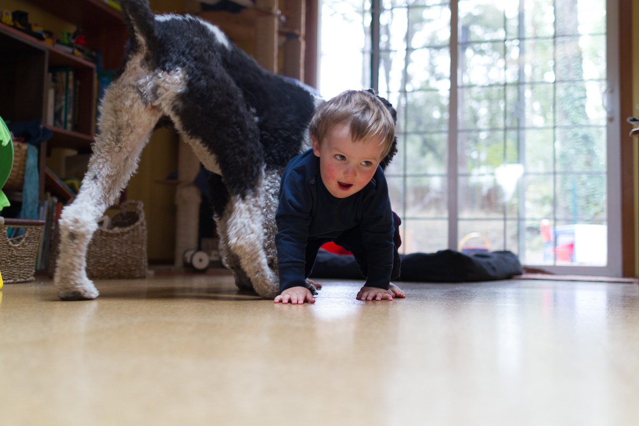  September 09, 2012 - Wrestling with the dog.