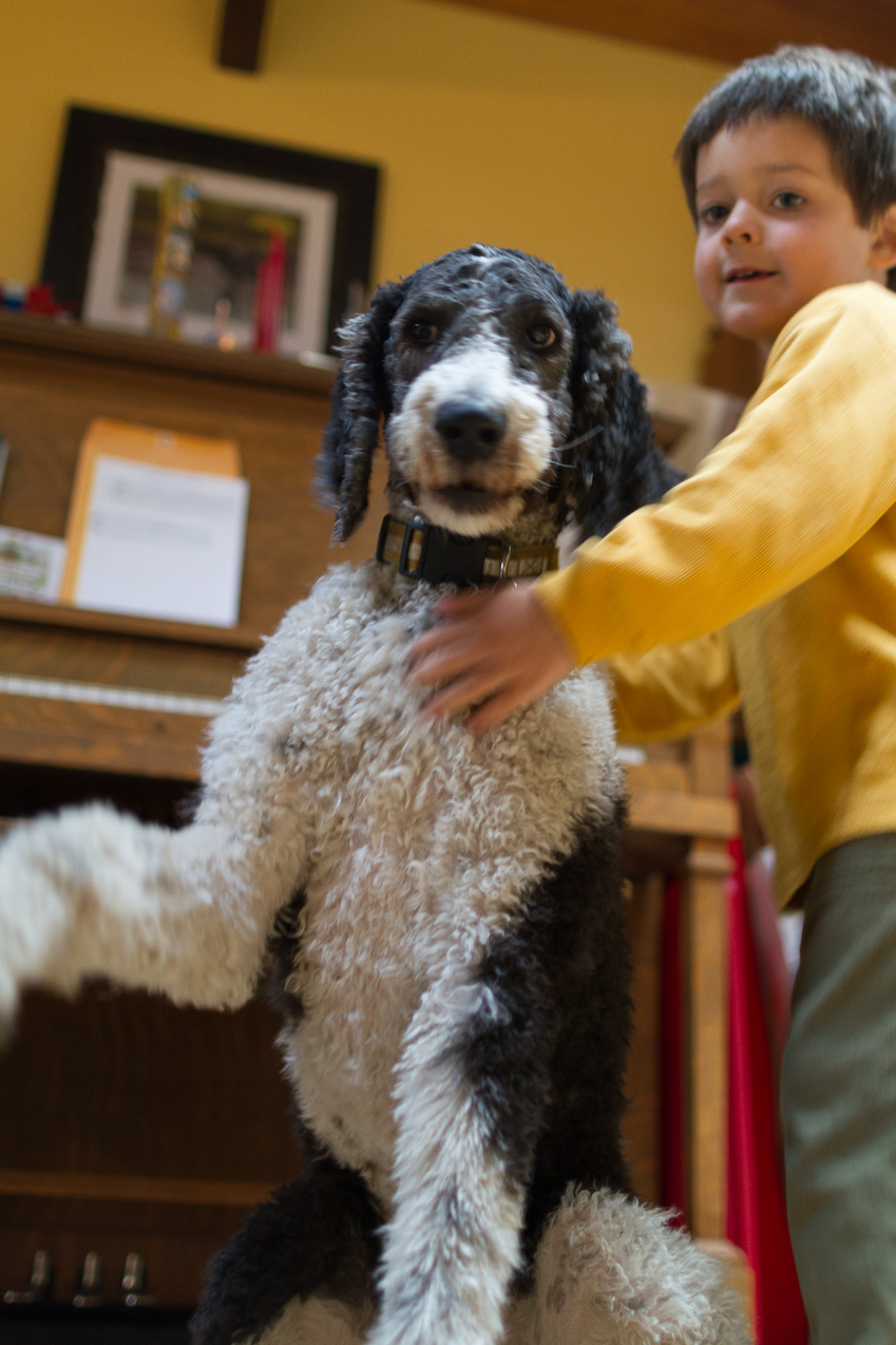  September 09, 2012 - Wrestling with the dog.