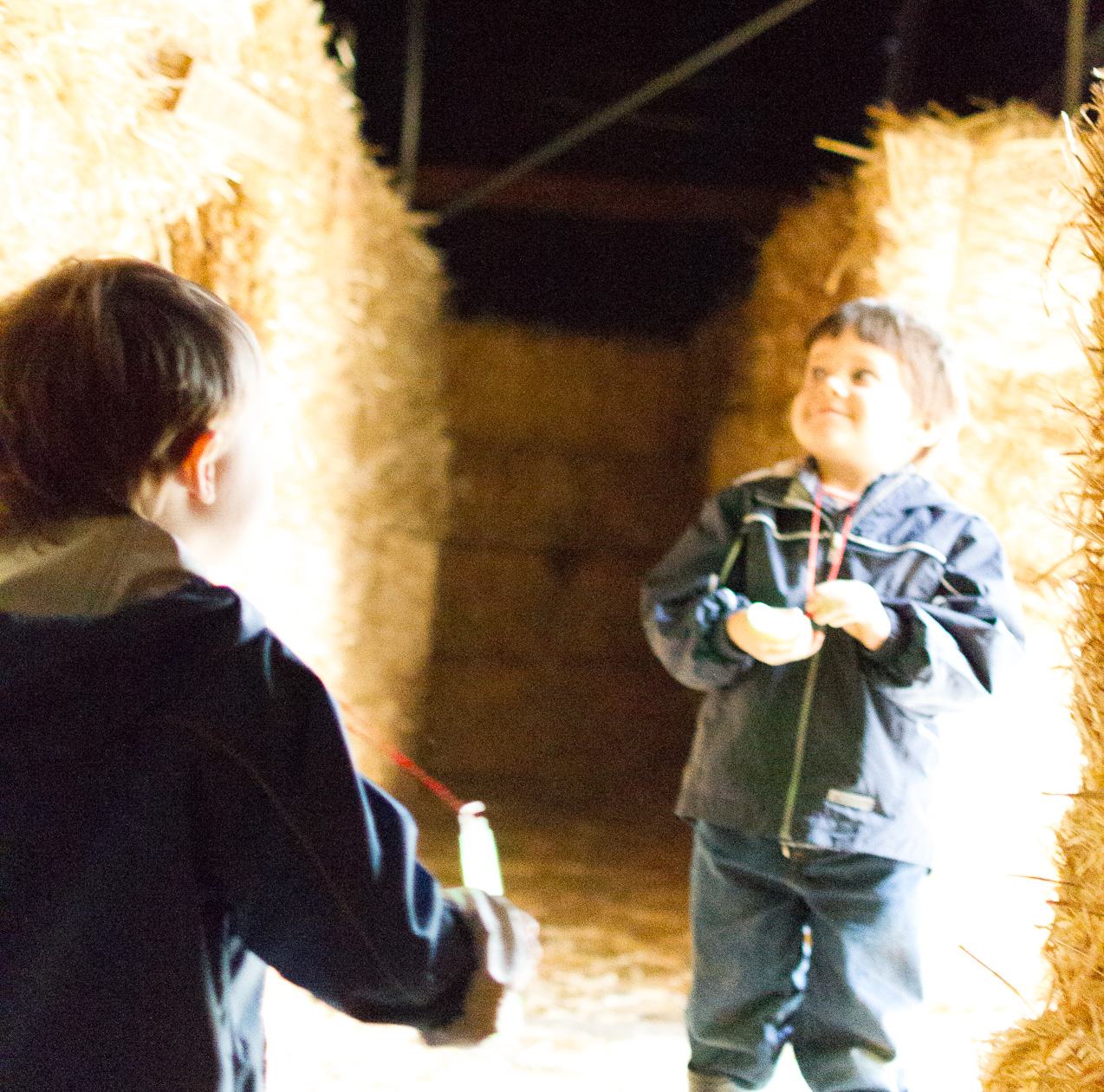  October 14, 2012 - Peter, having found his way out of the dark haybale maze