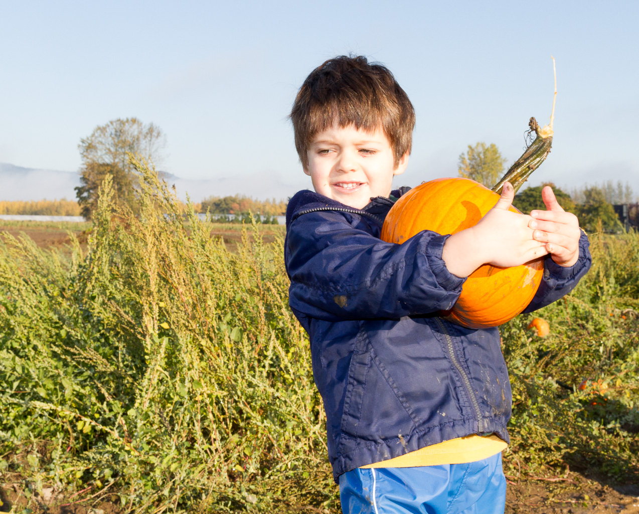  October 25, 2012 - 