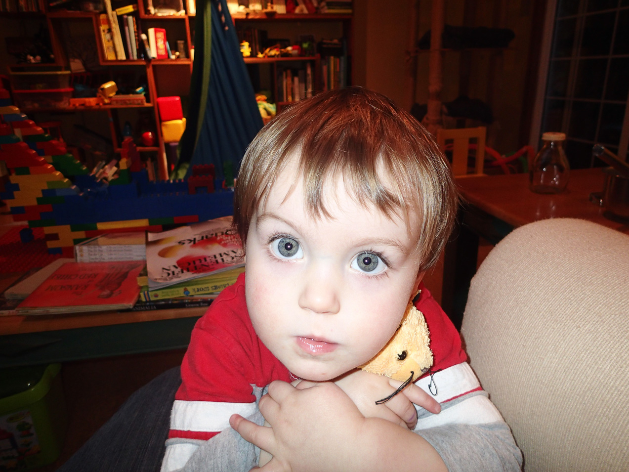  November 12, 2012 - OLYMPUS DIGITAL CAMERA