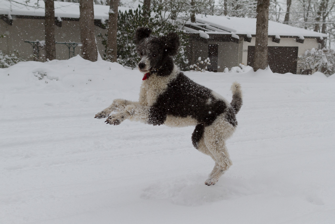  February 07, 2014 - 