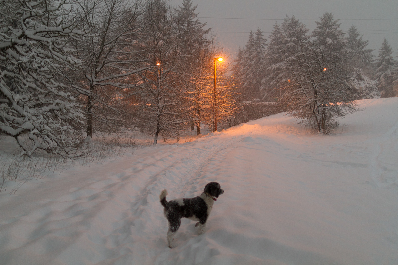  February 07, 2014 - 