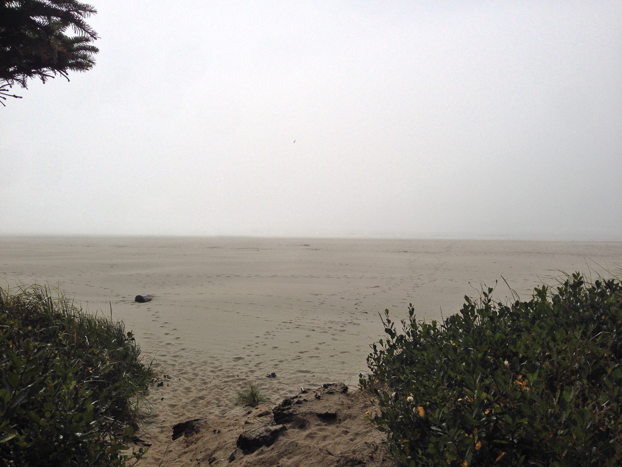  August 26, 2014 - 