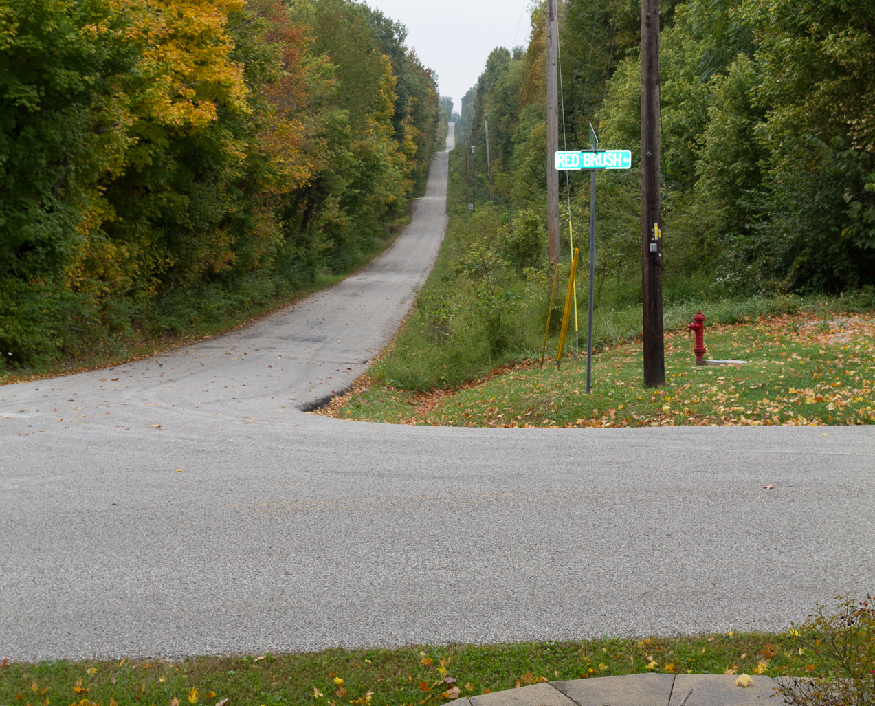  October 11, 2014 - Red Brush, the Scheessele's roots outside of Evansville IN.