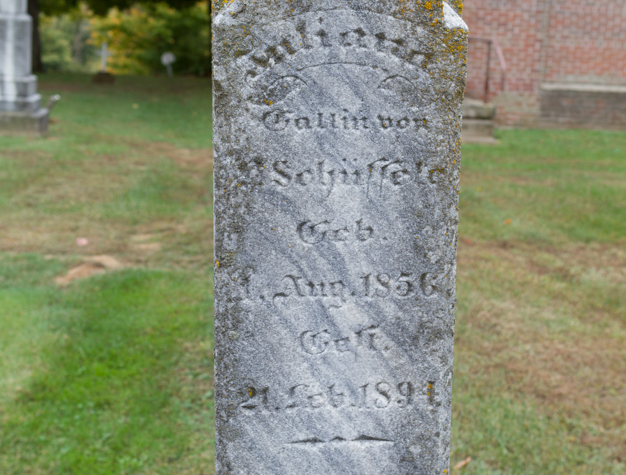  October 11, 2014 - Red Brush, the Scheessele's roots outside of Evansville IN.