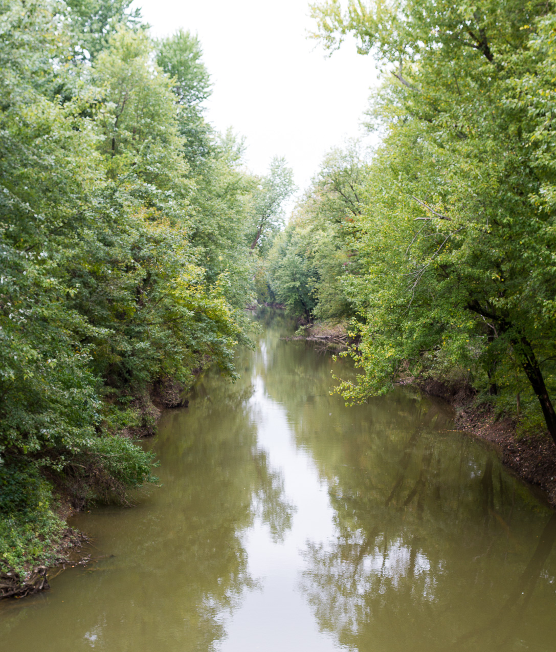  October 11, 2014 - Red Brush, the Scheessele's roots outside of Evansville IN.