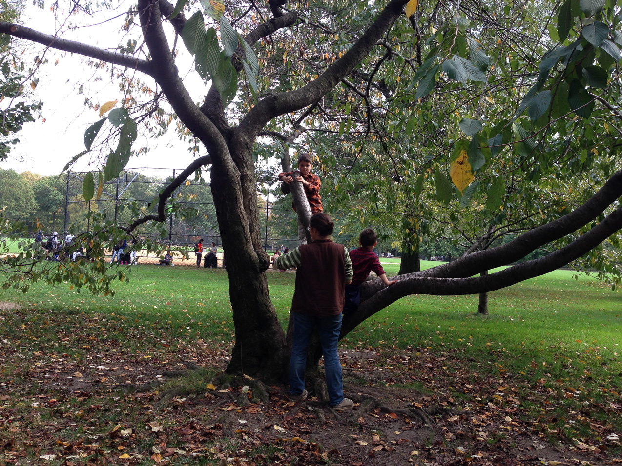  October 15, 2014 - 