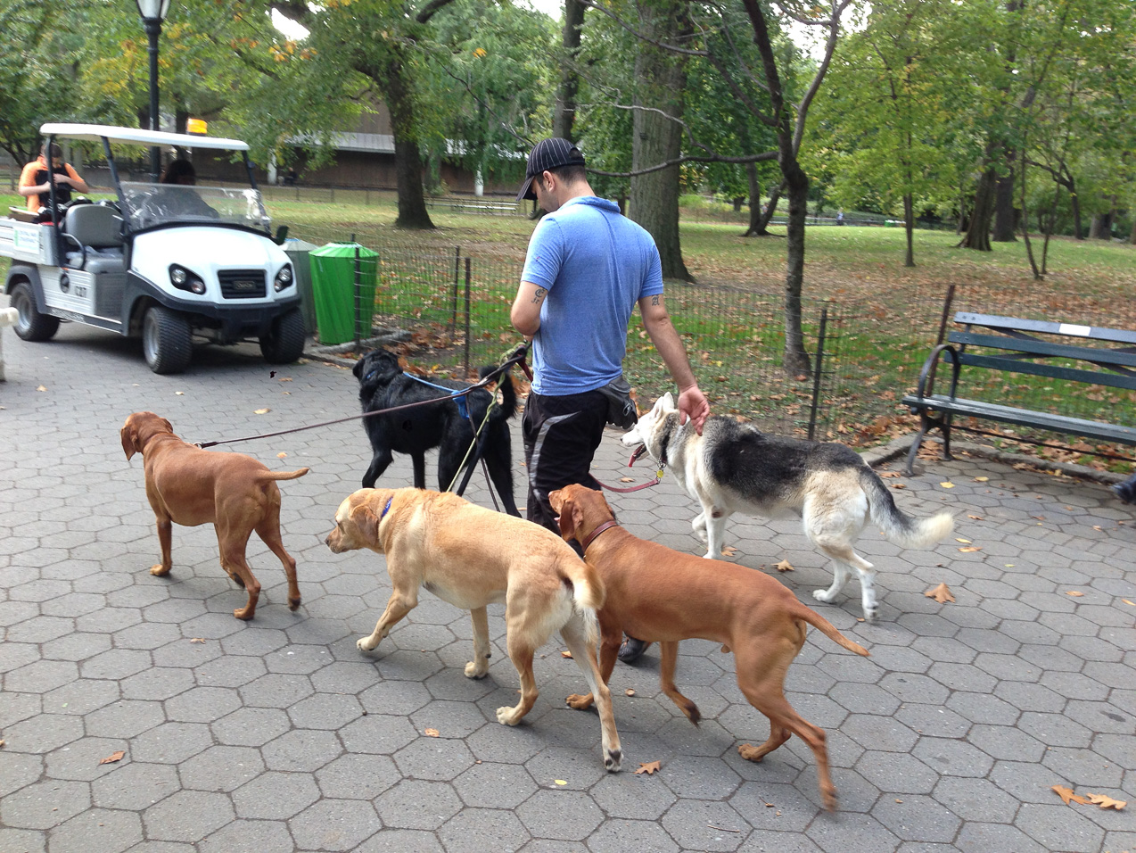  October 15, 2014 - 