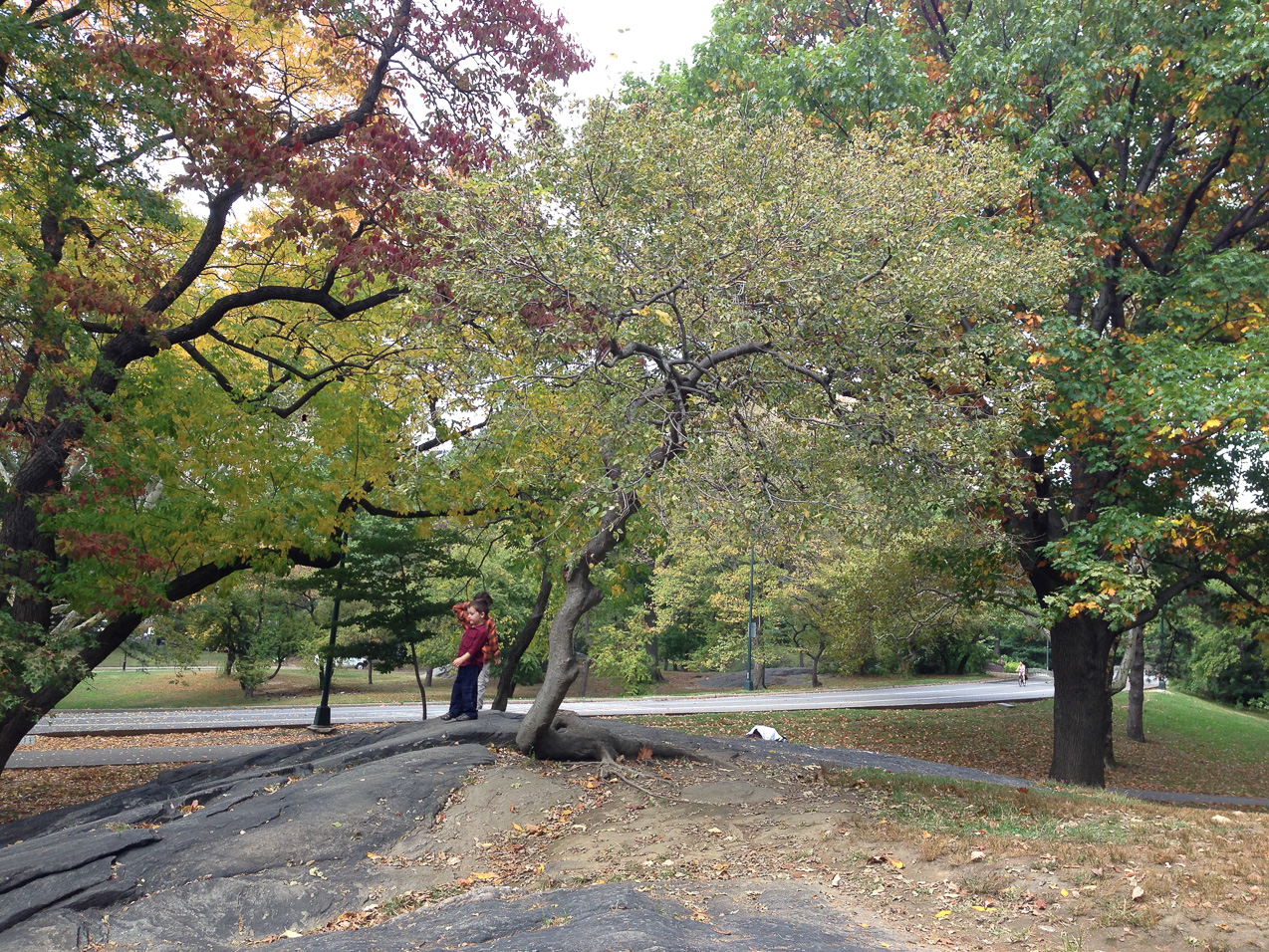  October 15, 2014 - 