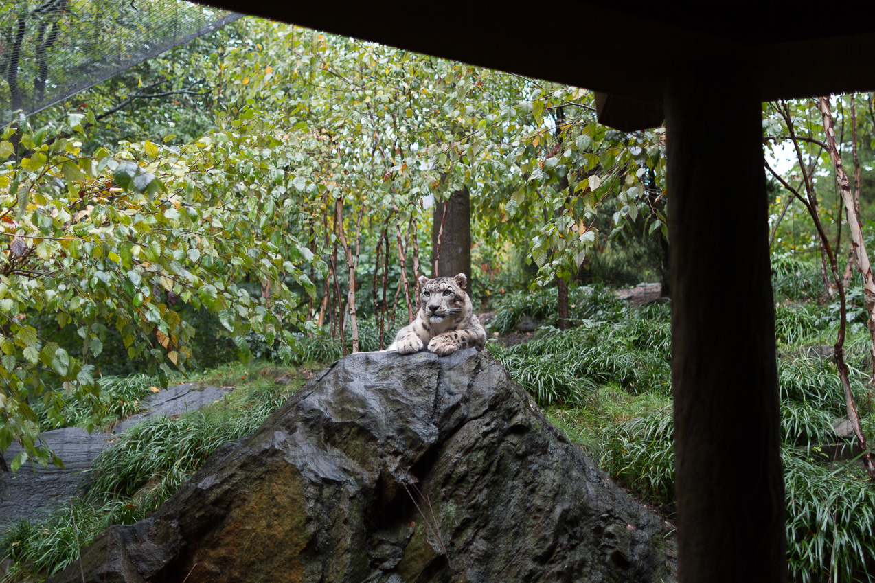  October 16, 2014 - NYC Central Park Zoo