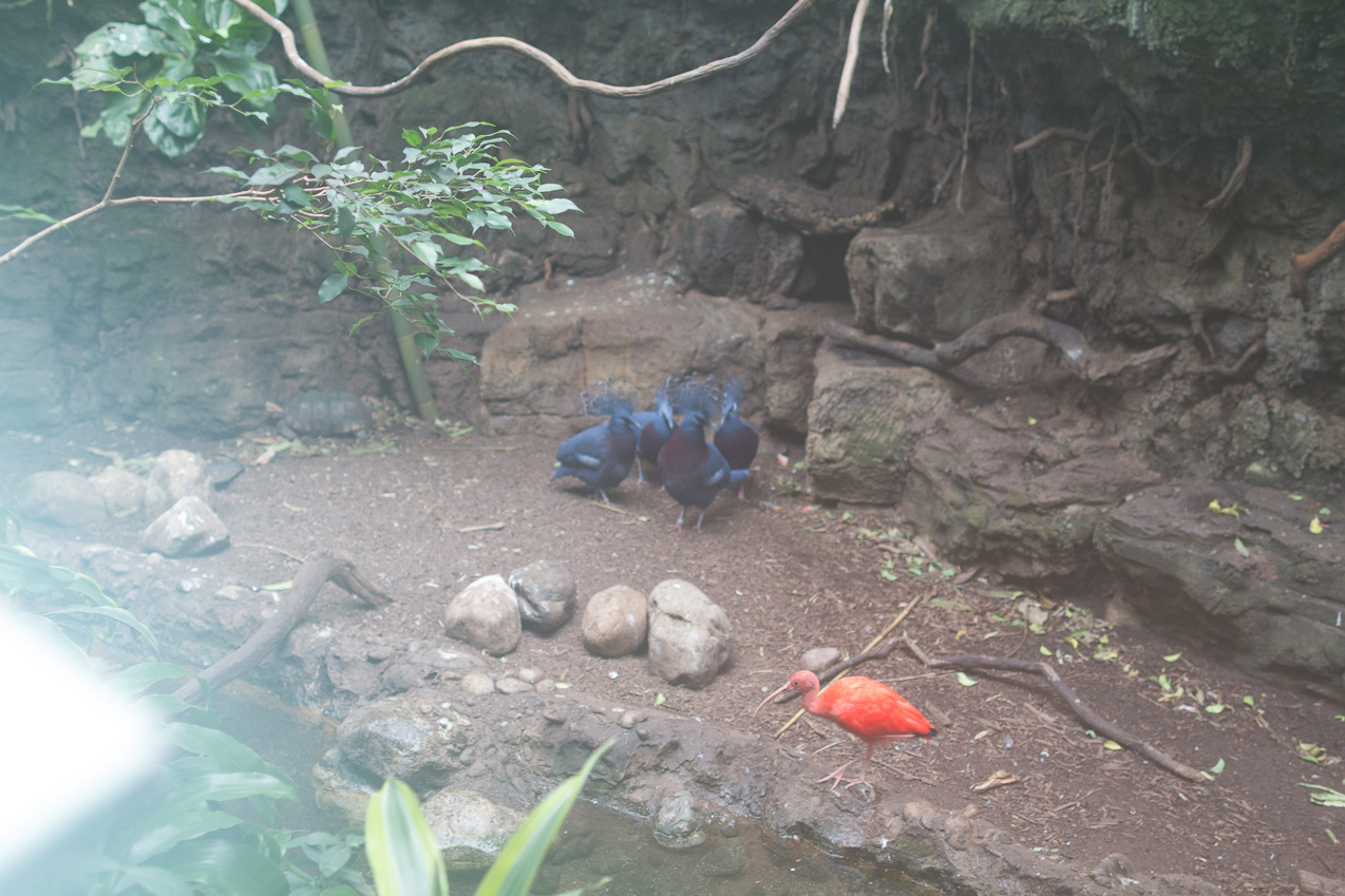  October 16, 2014 - NYC Central Park Zoo